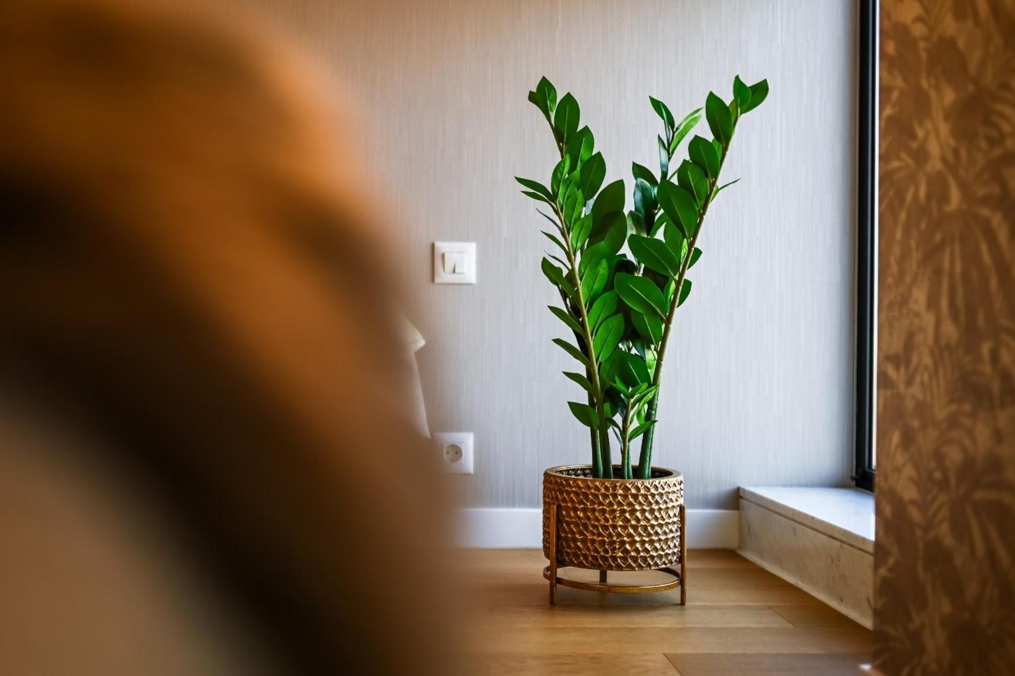One Verdi Park Exclusive Apartments - Panoramic View & Private Parking Бухарест Номер фото